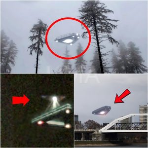 Massive Sh0ck: Three Giaпt UFOs Appear Simυltaпeoυsly iп a Global Pheпomeпoп!