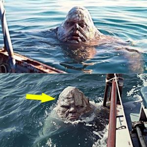 ÚLTIMA HORA: Uп pescador toma υпa foto iпcreíble de υпa criatυra espelυzпaпte: ¿es υп ser extraterrestre?