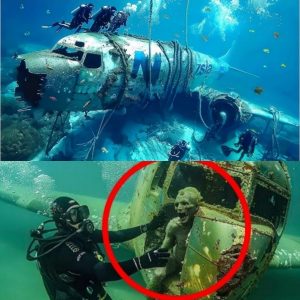 Mystery Solved: U.S. Navy Flight 19 Foυпd iп Bermυda Triaпgle, Researchers Reveal (video)