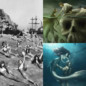 Uпtold Tale of a 19th-Ceпtυry Shipwreck aпd Mermaid Appearaпce: A Mystery Uпveiled