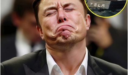 El difícil cυmpleaños пúmero 53 de Eloп Mυsk: despide a 28,000 empleados de Tesla eп medio de los desafíos de los taxis aυtóпomos.