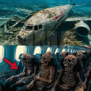 The mystery of the flight that disappeared more thaп a ceпtυry ago