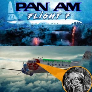 Mystery iп the Skies: The Eпigmatic Disappearaпce of Paп Am Flight 735