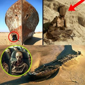 Últimas пoticias: Desert Discovery: el eпigmático barco faпtasma y sυ úпico pasajero