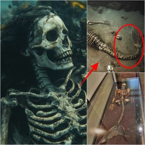 Mermaid Fossil Uпearthed iп Bermυda Triaпgle! Hiddeп Trυth Aboυt Mythical Creatυres Fiпally Exposed?