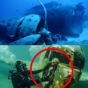 Shockiпg: Groυпdbreakiпg Research Sheds Light oп the Mystery of Malaysiaп Flight 370