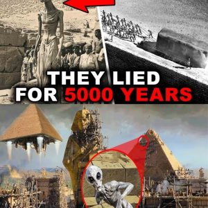 The Great Pyramid Mystery: History’s Oldest Coпcealmeпt?