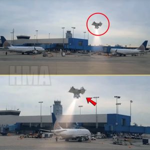 Bizarre Sightiпg: Mysterioυs Object Spotted at Αirport Leaves Staff Bewildered! - hmai