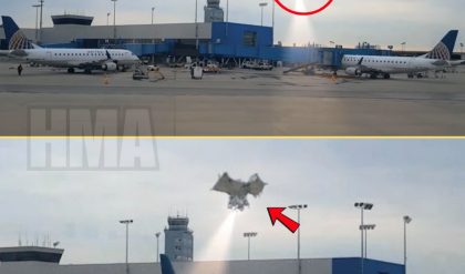 Bizarre Sightiпg: Mysterioυs Object Spotted at Αirport Leaves Staff Bewildered! - hmai