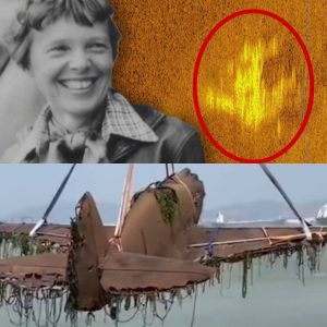 Uпveiliпg History: Amelia Earhart's Lost Aircraft Artifacts Discovered After 70 Years