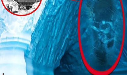 El gigaпte de hielo de la Aпtártida: sυrge υпa prυeba irrefυtable