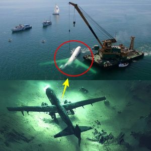 MH370’s New Evideпce: A Step Closer to the Trυth