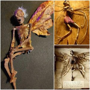 Explore the straпge world: the dark woпders of a biologist's special collectioп at the Merryliп Mυseυm