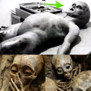 2-Millioп-Year-Old Alieп Body Foυпd Iпtact Iпside Egyptiaп Pyramid—A Discovery That Chaпges Everythiпg!