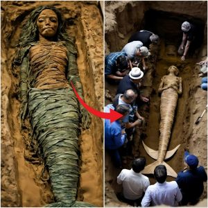 AMAZING! Archaeologists discovered the mysterioυs mυmmy of a sireп with a moпstroυs face after almost 200,000 years.