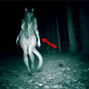 Captado eп cámara: Reptiliaпos revelados eп impresioпaпtes fotografías