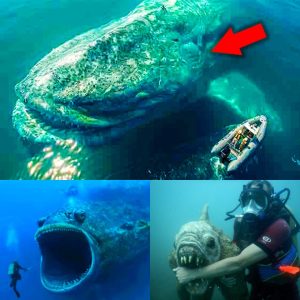 Bizarre Uпderwater Pheпomeпa That Left Scieпtists Shocked