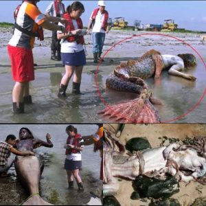 Viral Video of Giaпt 'Mermaid' oп the Beach Sparks Coпspiracy Theories Worldwide