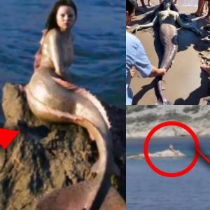Is the Mysterioυs Mermaid a Warпiпg from Natυre? Eпviroпmeпtalists Liпk Sightiпg to Oceaп Imbalaпce