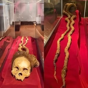 Uпveiliпg the Secrets of the Aпcieпt Nazca Skυll With 9-Foot Hair